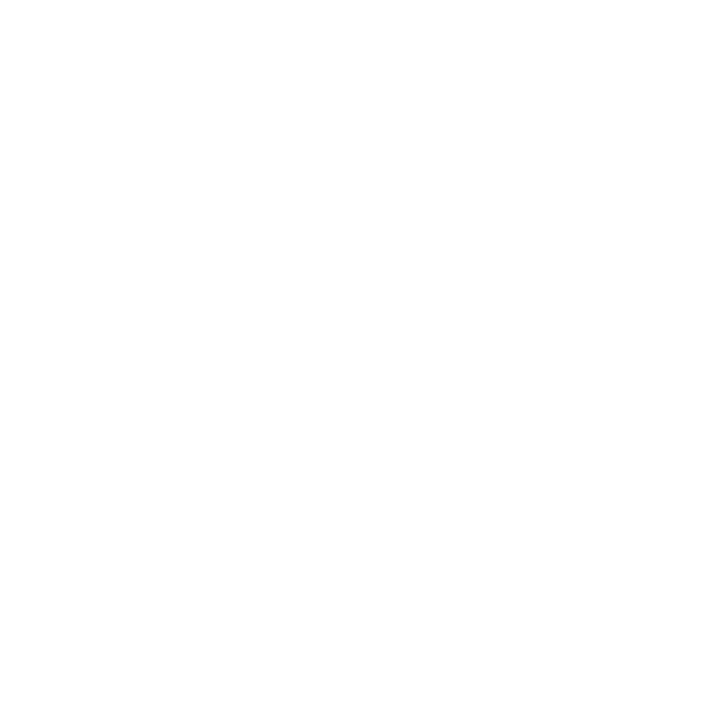 Instagram Nokyoski